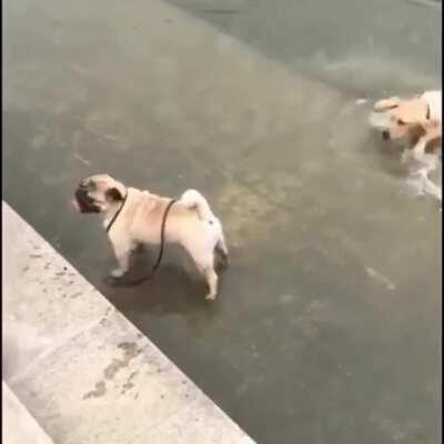 When you think you’re in the kid’s pool only to be deceived