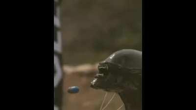 Alien vs. Predator (with a grenade launcher)