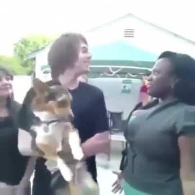 Thanks, I hate Shane Dawson