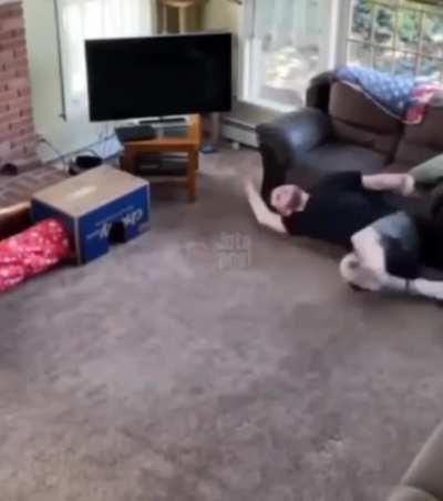 Muchachos, estoy lol