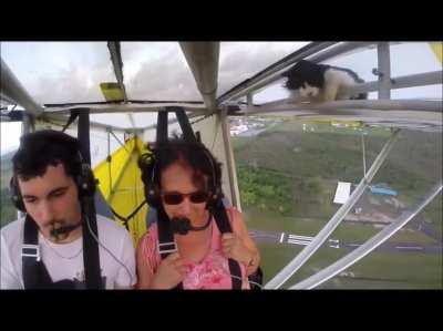 Дед на истребителе летал...