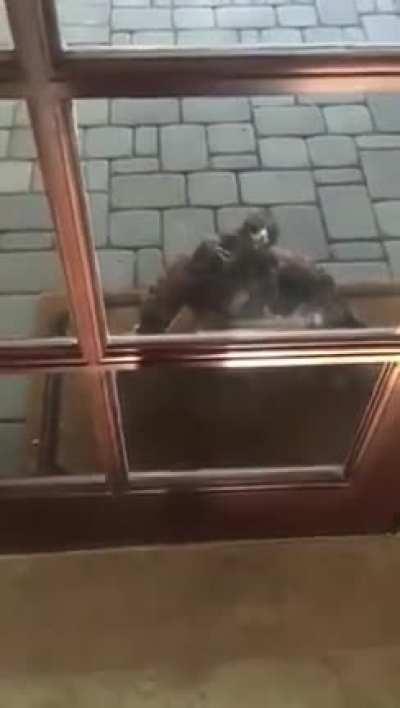 THEY’RE WATCHING THEY’RE WATCHING THEY’RE WATCHING THEY’RE WATCHING