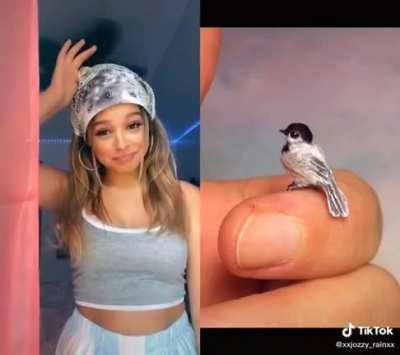 To all the dudes on here