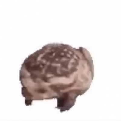 You can use this as wells