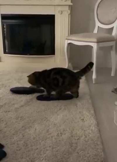 Пол это лава 