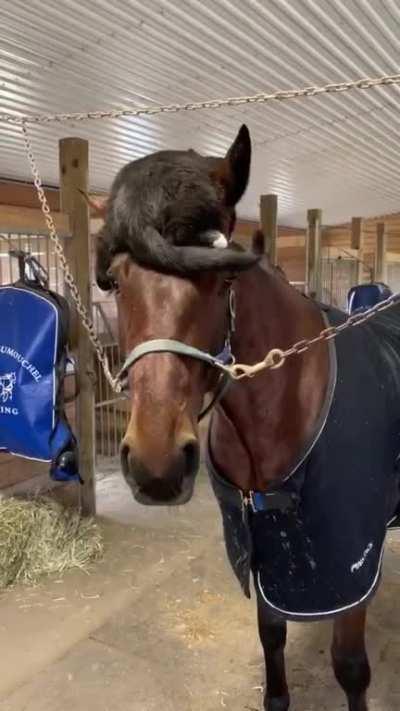 ah yes, this is an appropriate place to sit