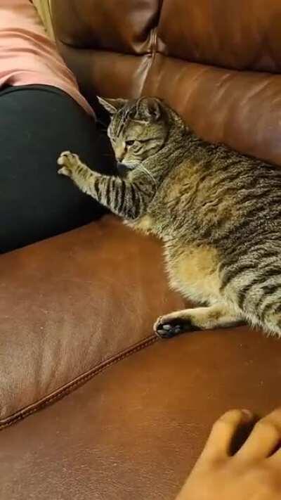 I said no time for grabass. He took it literally and defiantly