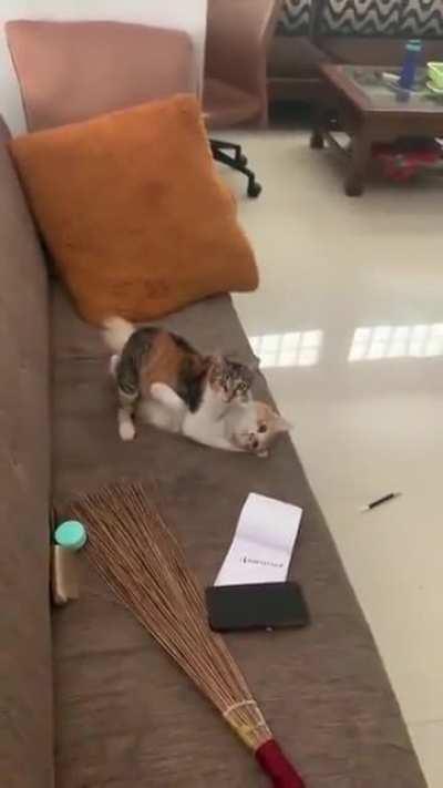 What are u doing step bro