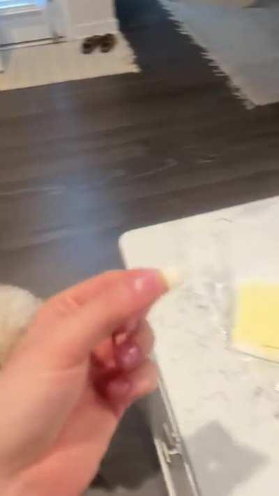 Only way to get Honey to consume medications is with this little trick