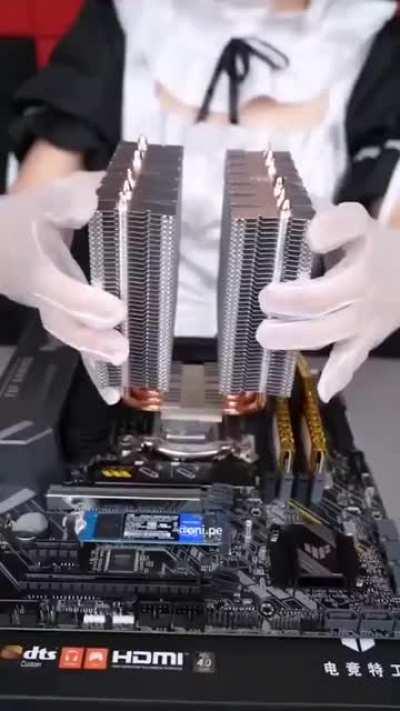 For the men*. Plural.