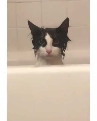 Вьетнамские флэшбэки...