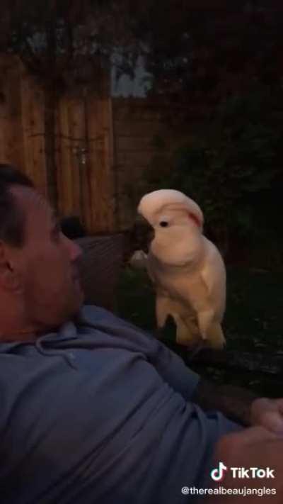 *tiny dinosaur noises*