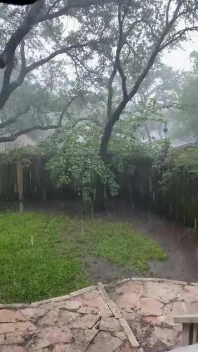 Austin, Texas. Trying to make up for the hellfire that was July and August.