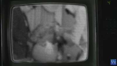 Urigod 💎🐀desde tiempos inmemoriales.