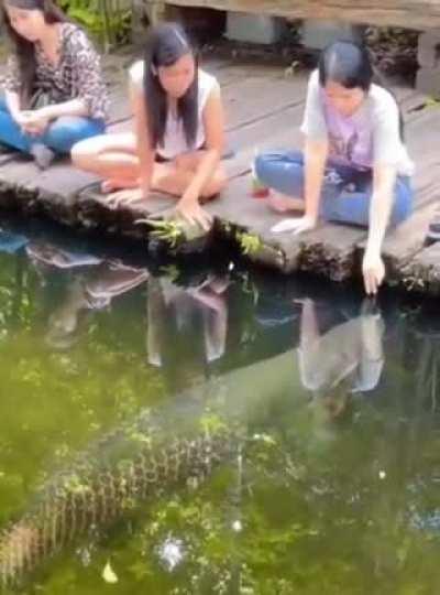 Don't worry he won't bite you.