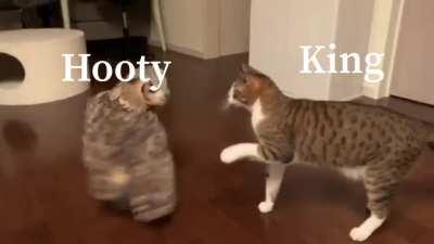 King meets Hooty/or Owlbert