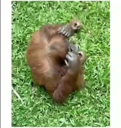 Geralt after finding the Professor's spectacles!