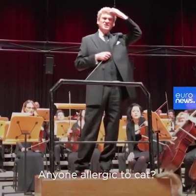 Kitty is a big fan of the Symphony