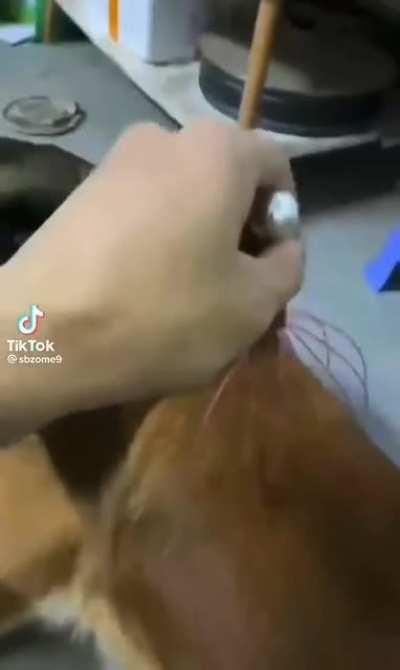 I don't think he enjoys that much.