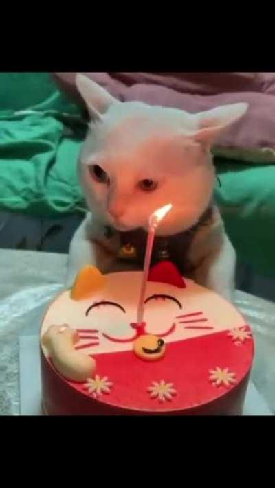 When you are not in the mood for birthday