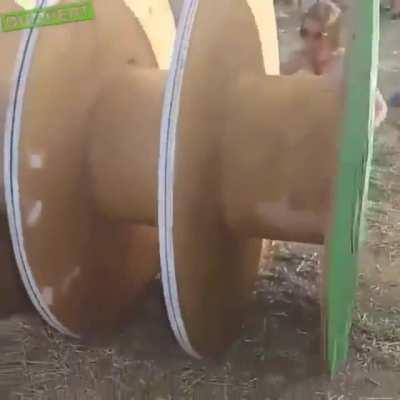 And the Darwin Award goes to...