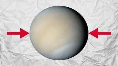 Venus almost as hot as gay spider