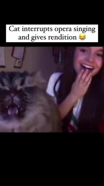 This meowsterpiece 🤌