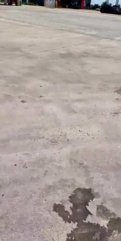 One idiot in a truck