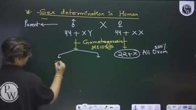 Tasty Tasty sperms ??