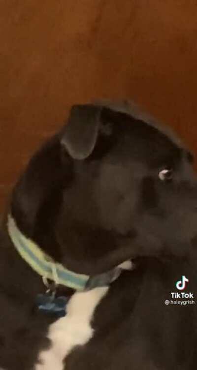 Whom’st has the audacity?!