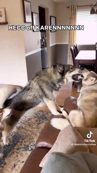 She said the magic word