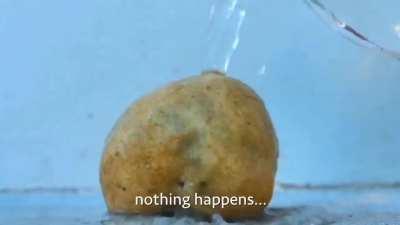 Ever wondered what happens when you pour water on a rock?