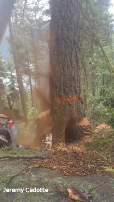 When this happens, it's called 