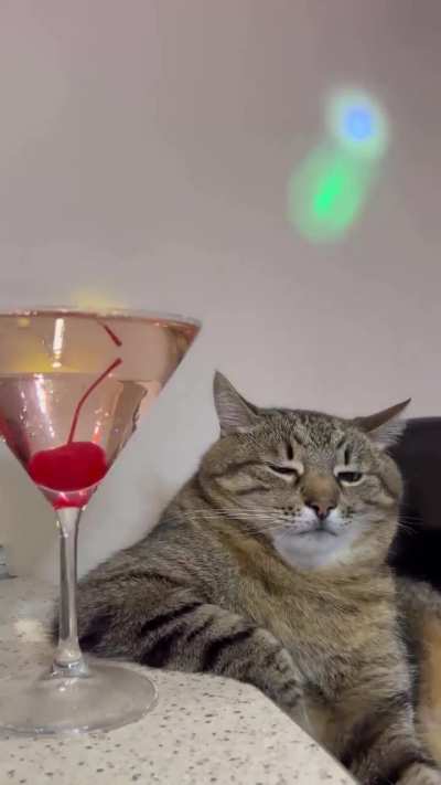 Who is joining the party? 😂
