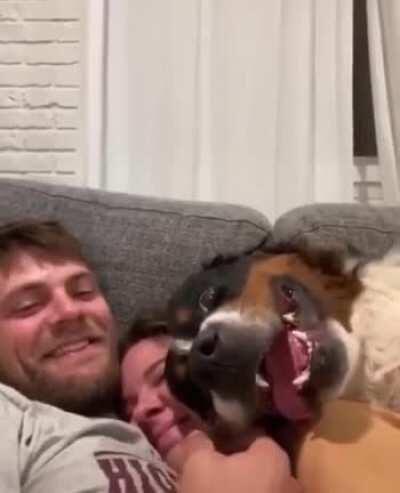 ‘Pay attention to me!’