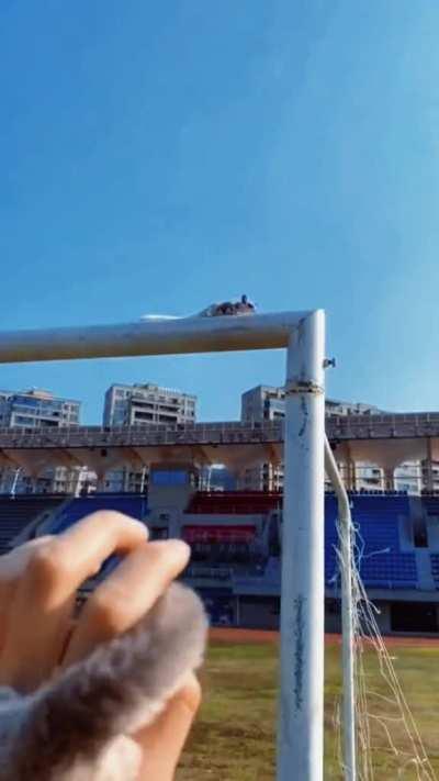 When the whole family trusts you