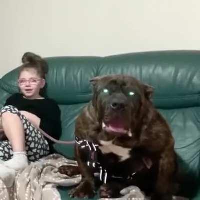 Orion, The hellhound