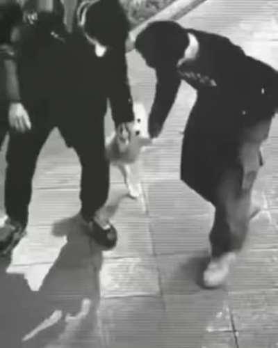 Doggie dance