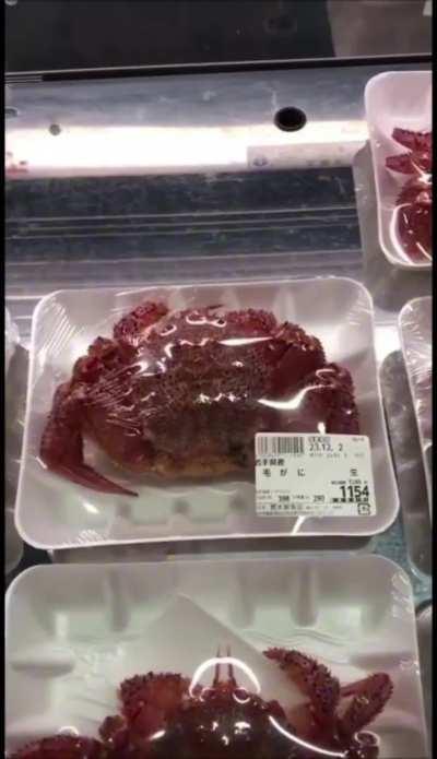 A customer? Indeed, I've slept long enough 