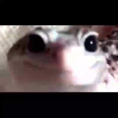 Falaram que queriam ver a continuação dele, tá aqui.