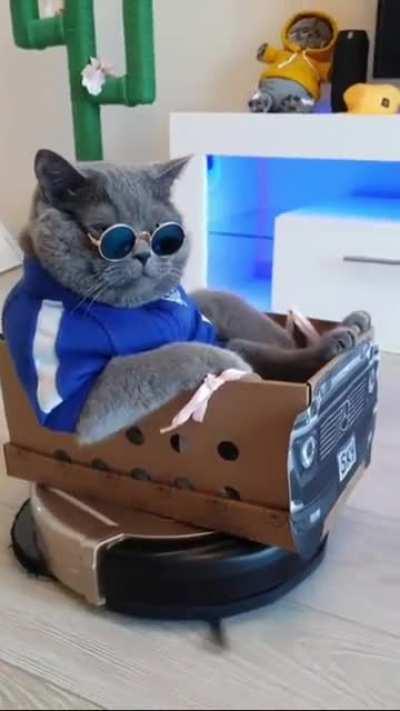 Hunting rats with style