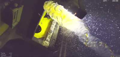 Filmed this at work. Called Helicosalpa according to the Norwegian Institute of marine research.