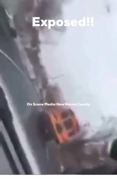 Connecticut - Natural Selection Style