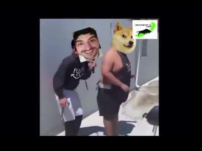 The reason i made this video .. LFG dorge army