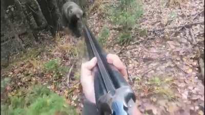 Man holds back from shooting mama bear that charges him 3 times