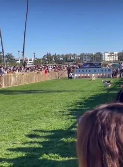 The audience were the real winners