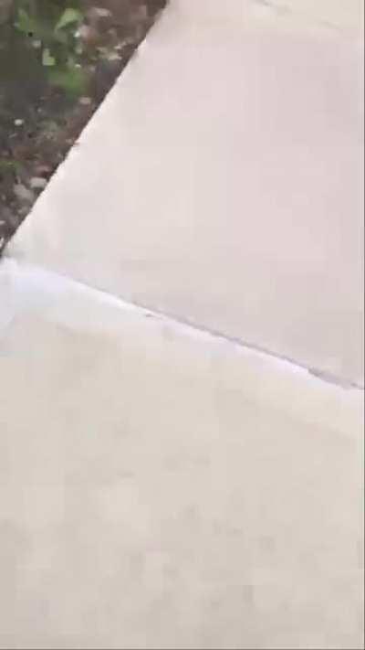 Fight i got into a while back, curly head is supposedly a “52 hgc hoover crip” so i had to hand it to him