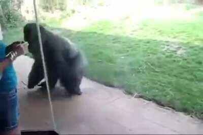 how do i get this video tattooed