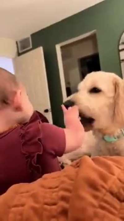The way dogs almost instinctively know to be gentle with babies is incredible ❤️