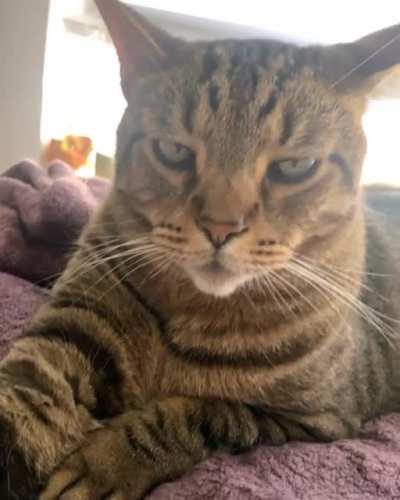 I'm not allowed to attend class